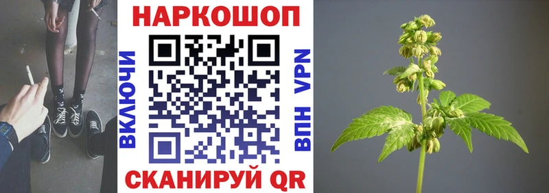 Где можно купить наркотики Гусев Гашиш Cocaine A PVP Меф мяу мяу