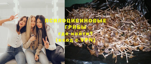 а пвп мука Горняк