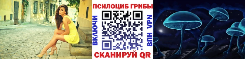 ссылка на мегу зеркало  Гусев  Псилоцибиновые грибы мицелий 