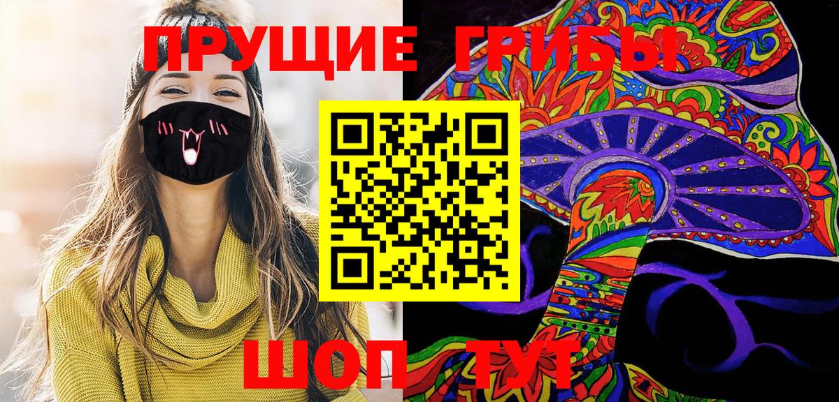 Галлюциногенные грибы Psilocybe Гусев